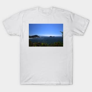 850_6233 T-Shirt